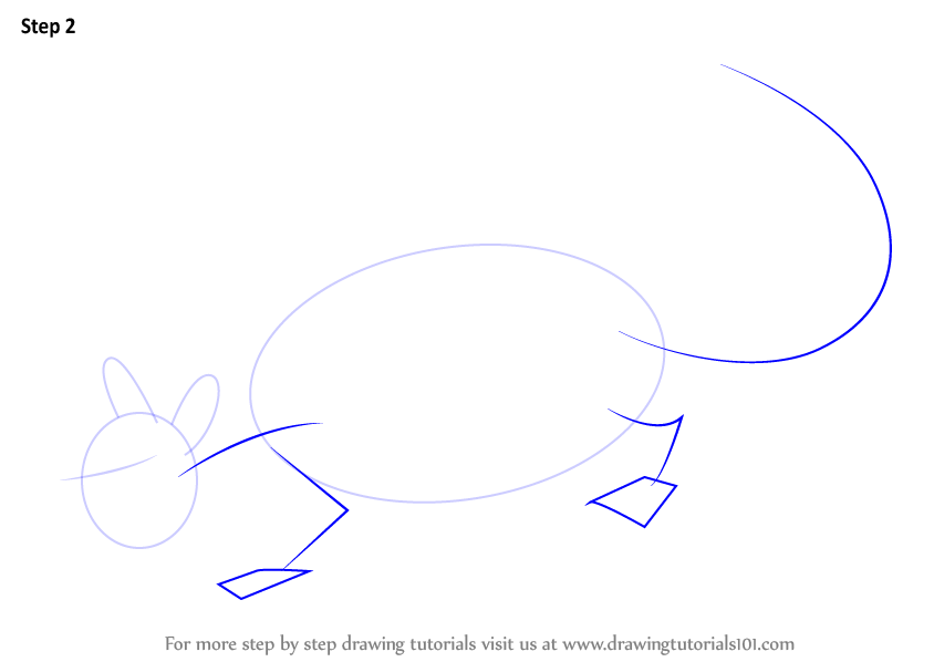 844x598 Learn How To Draw A Rat