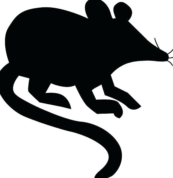590x609 Mouse Swine Silhouette Outline Rat Animal Physical Stand Minnie