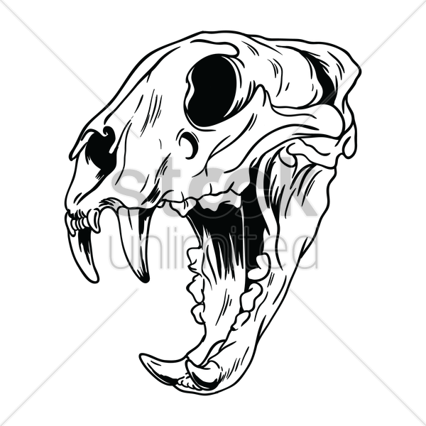 600x600 Collection Of Free Sketch Drawing Skull Download On Ui Ex