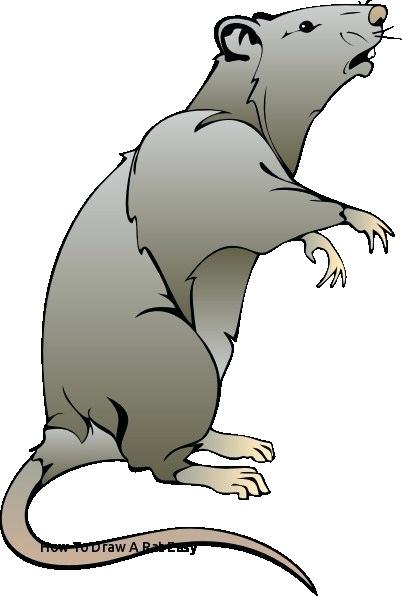 402x596 Easy To Draw Rat Draw Rat Easy To Draw Baby Rattle