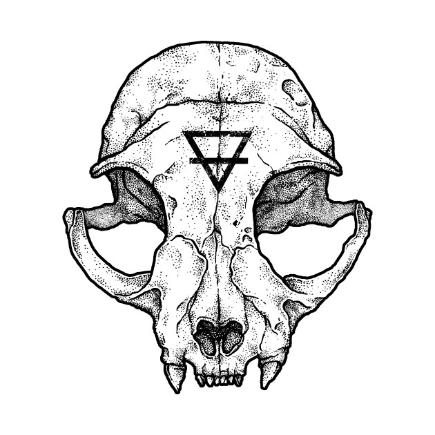 630x630 Skull Drawing Cat For Free Download