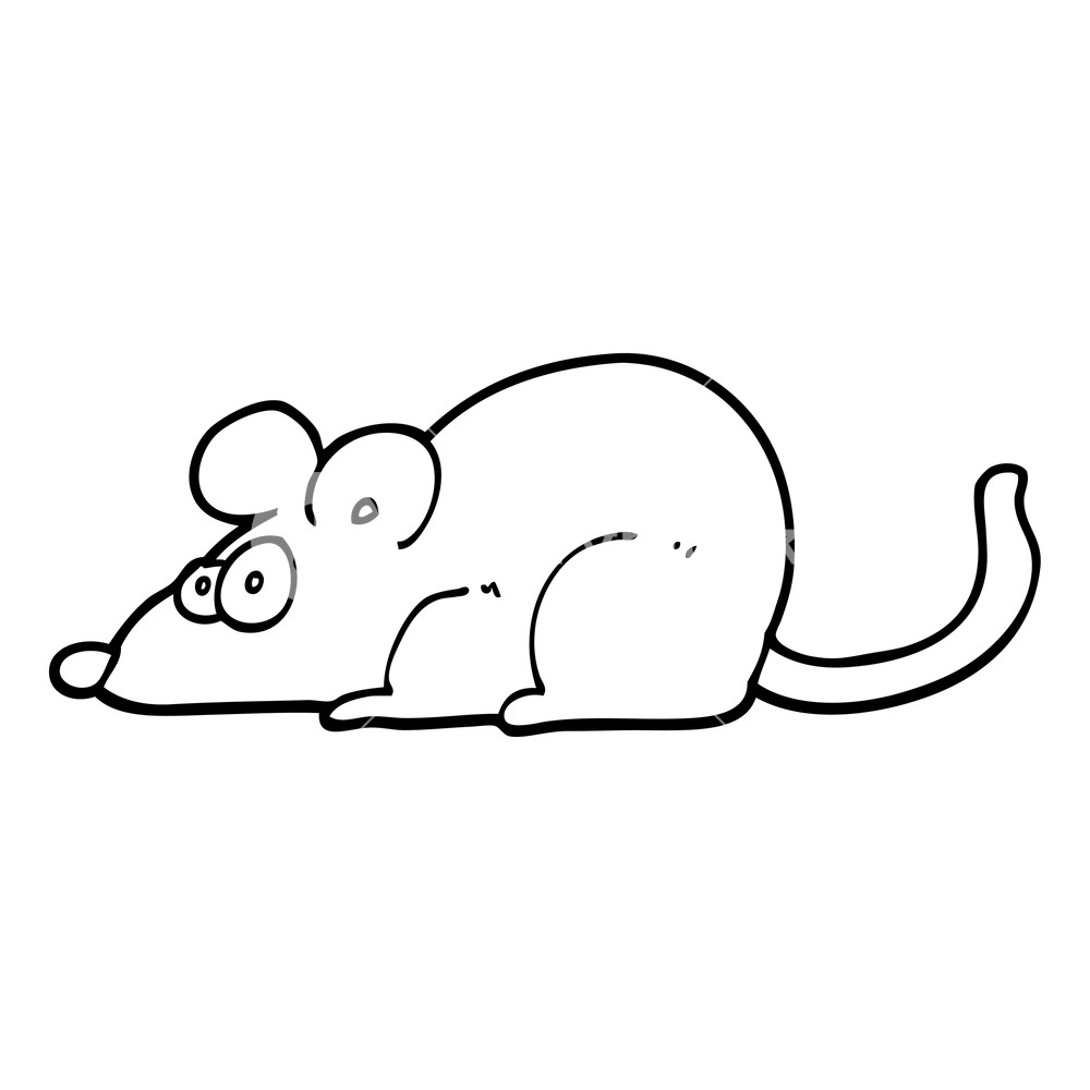 1000x1000 Black And White Cartoon Rat Royalty Free Stock Image