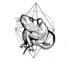 236x210 Amazing Rat Tattoo Images In Rat Tattoo, Rats, Draw