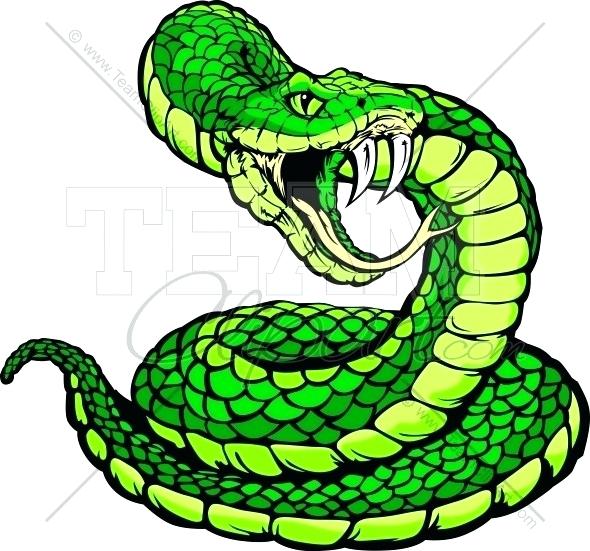590x551 Easy Snake Drawing Snake Easy Easy Cartoon Snake Drawing Zupa