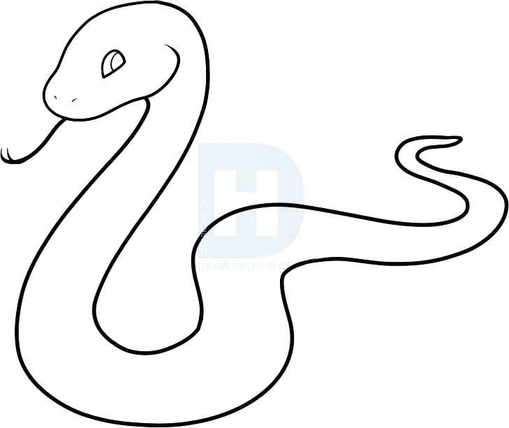 729x613 Easy Snake Drawings How To Draw Snake Step Easy Drawing Snake