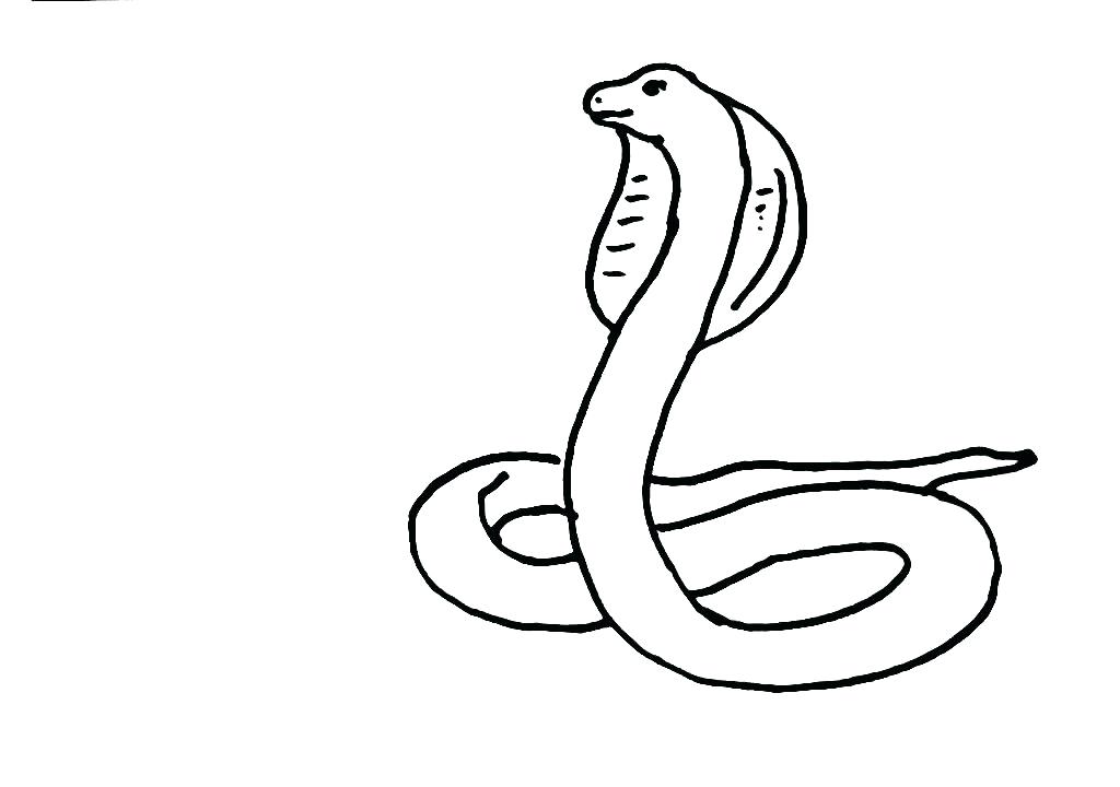 1024x720 How To Draw A Snake Step