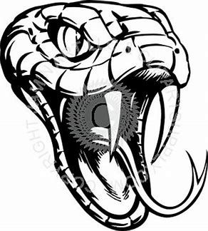 292x324 Image Result For Rattlesnake Head Drawing Workshop Ideas