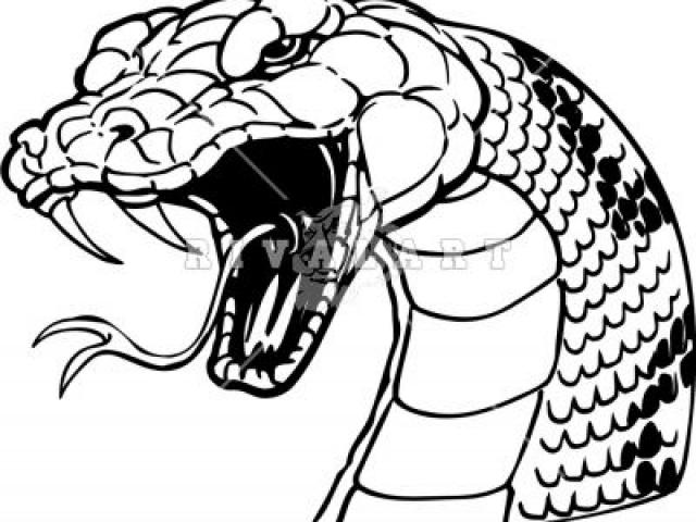 640x480 Rattlesnake Clipart Cobra Head