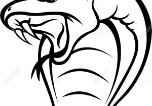 300x210 Snake Head Drawing Quick Sketch Snake Headscura