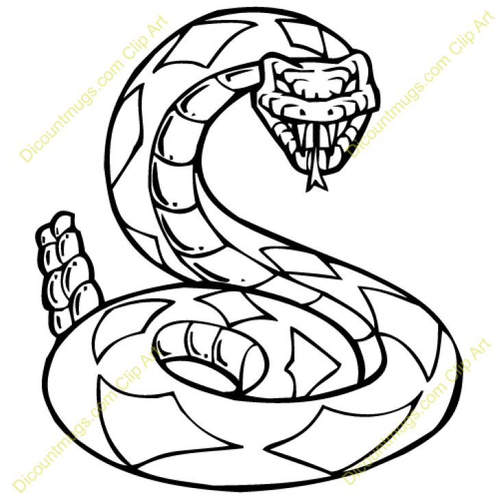 728x728 Rattlesnake Head Clipart