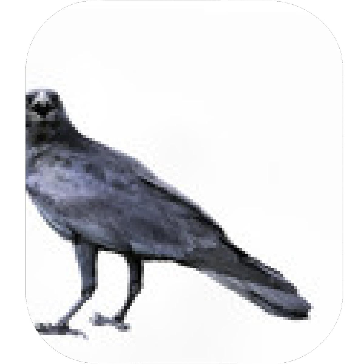 1200x1200 Designs Mein Mousepad Design Mousepad Selbst Designen