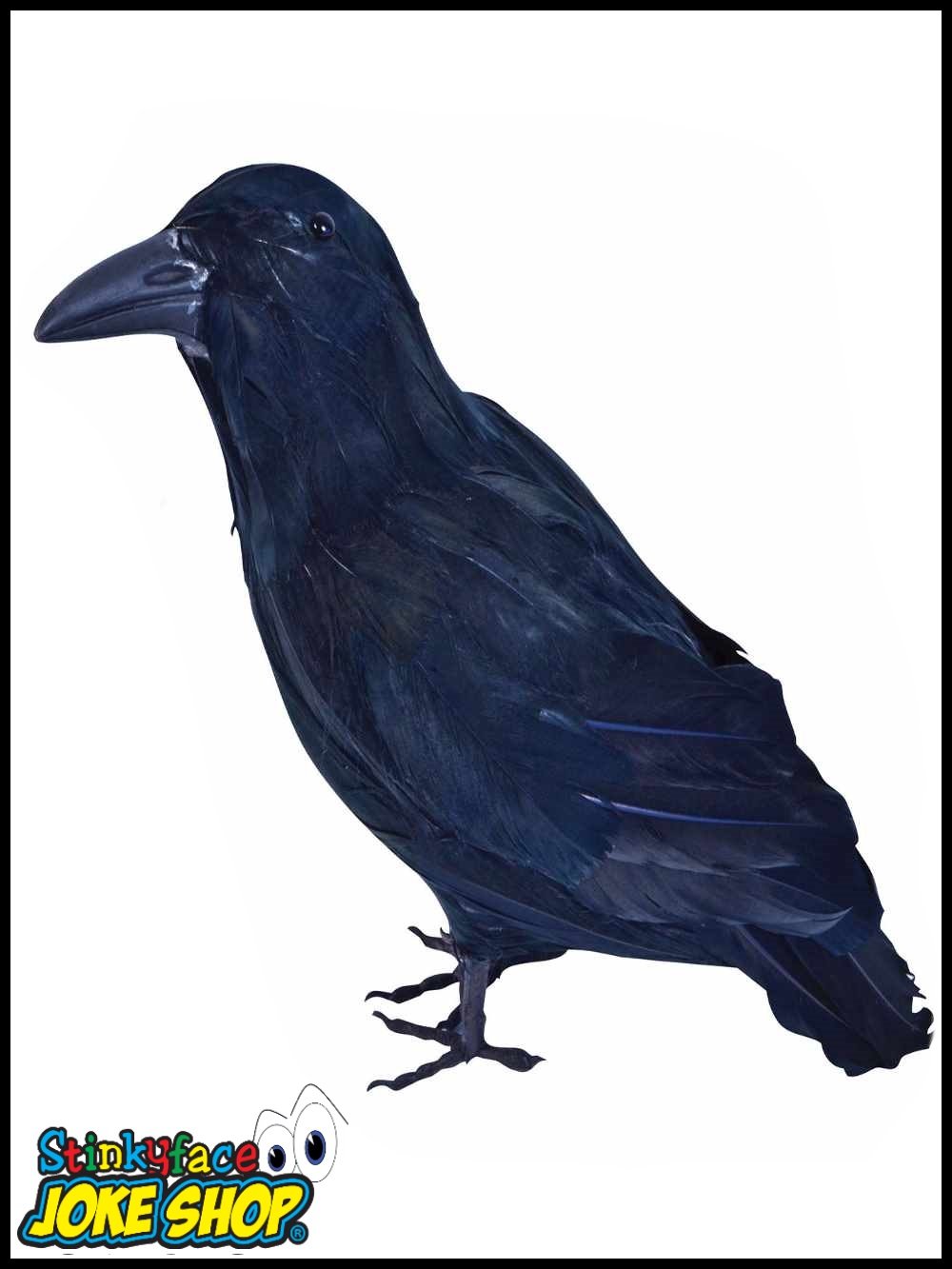 1000x1333 fake feathered raven crow