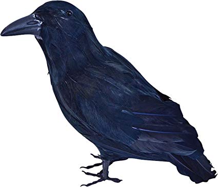 425x366 halloween fancy dress horror prop decor stuffed feathered black