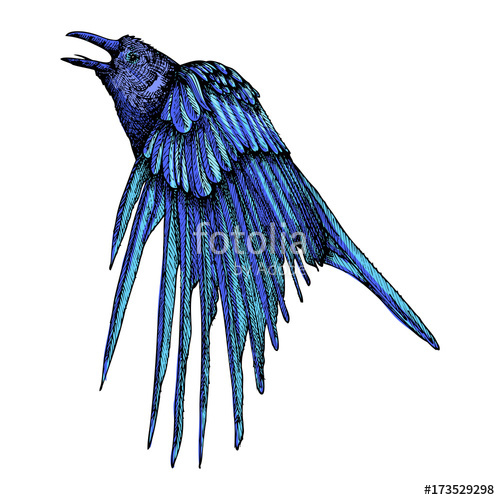 500x500 Illustration For Halloween Stylized Hand Drawing Crow Decorative