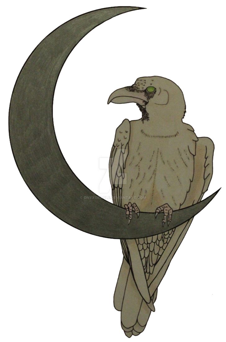 728x1098 Raven's Moon White