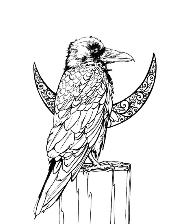 599x776 Raven Crescent Moon Line Art Poster