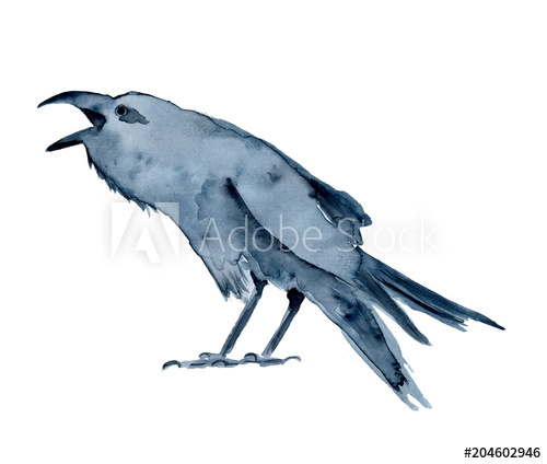 500x424 Watercolor Black Crow, Raven, Bird, Halloween Hand Drawn