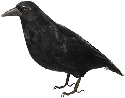 425x333 Stealstreet Crow Collectible Bird Raven Figurine