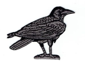 300x237 Blackgray Ravenirdcrow Facing Right Iron On Applique