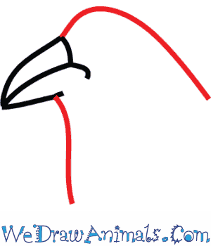 300x350 How To Draw A Raven