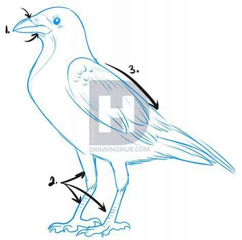 474x471 Image Result For How To Draw A Crow Or Raven Ravens