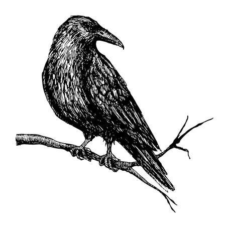 450x450 Raven Clipart