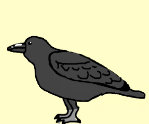 300x250 Raven Drawing