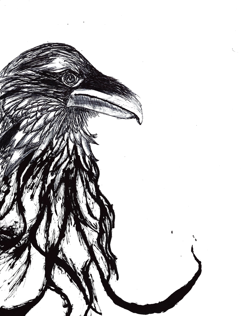 785x1018 Raven Ink Drawingpainting