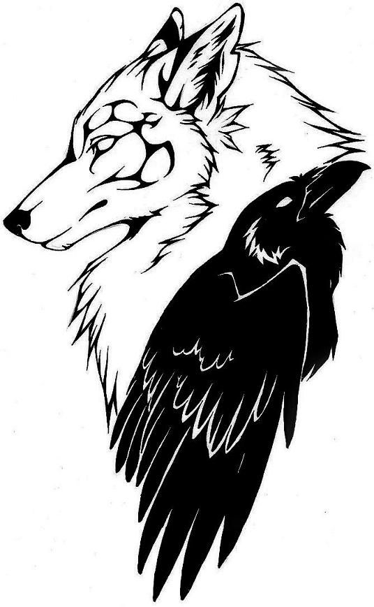 Raven Drawings