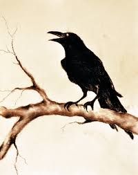 200x253 Image Result For Raven Drawing Casual Crow Painting, Bird