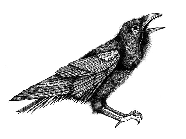 595x444 Johanna Basford