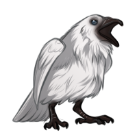 200x200 Leucistic Raven