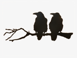 300x225 raven silhouette png, transparent raven silhouette png image free
