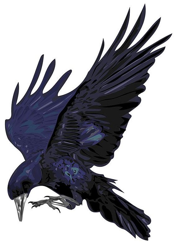 570x786 Stylized Raven Vector Art Printable Clipart, Pdf