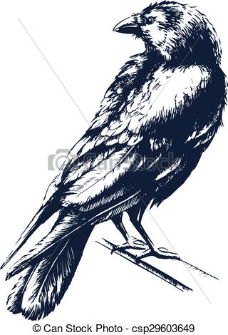 320x470 Black Raven