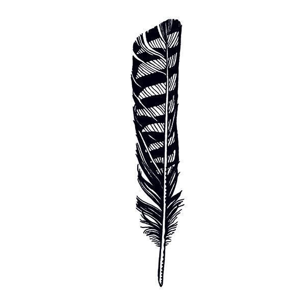 600x600 hawk feather want feather tattoo design, hawk tattoo, hawk