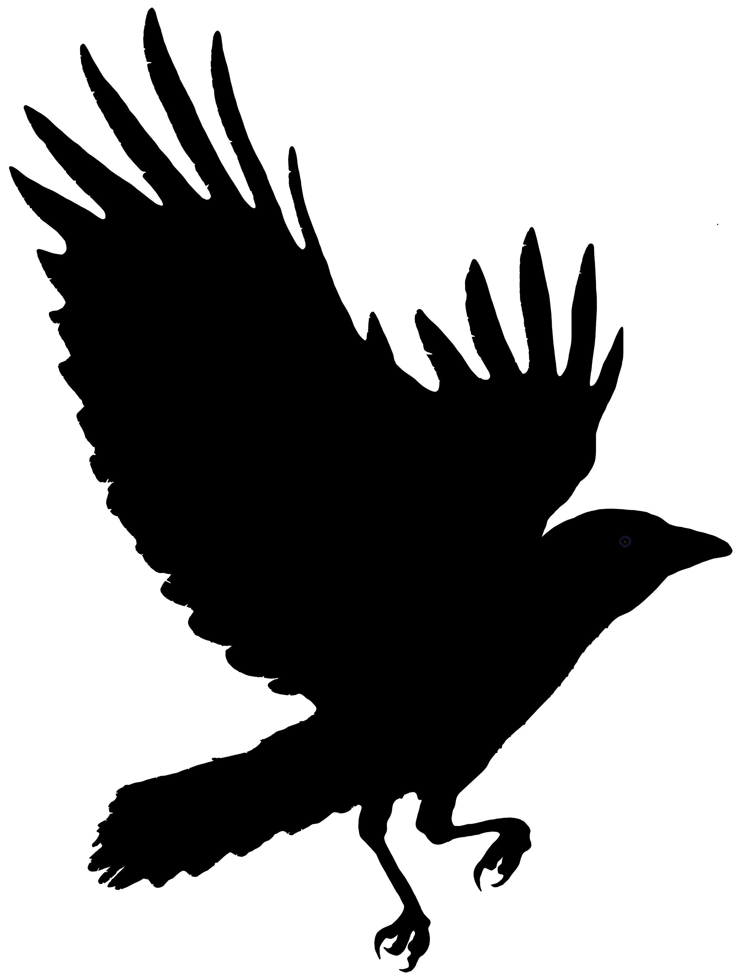 2492x3300 Raven Feather Clipart