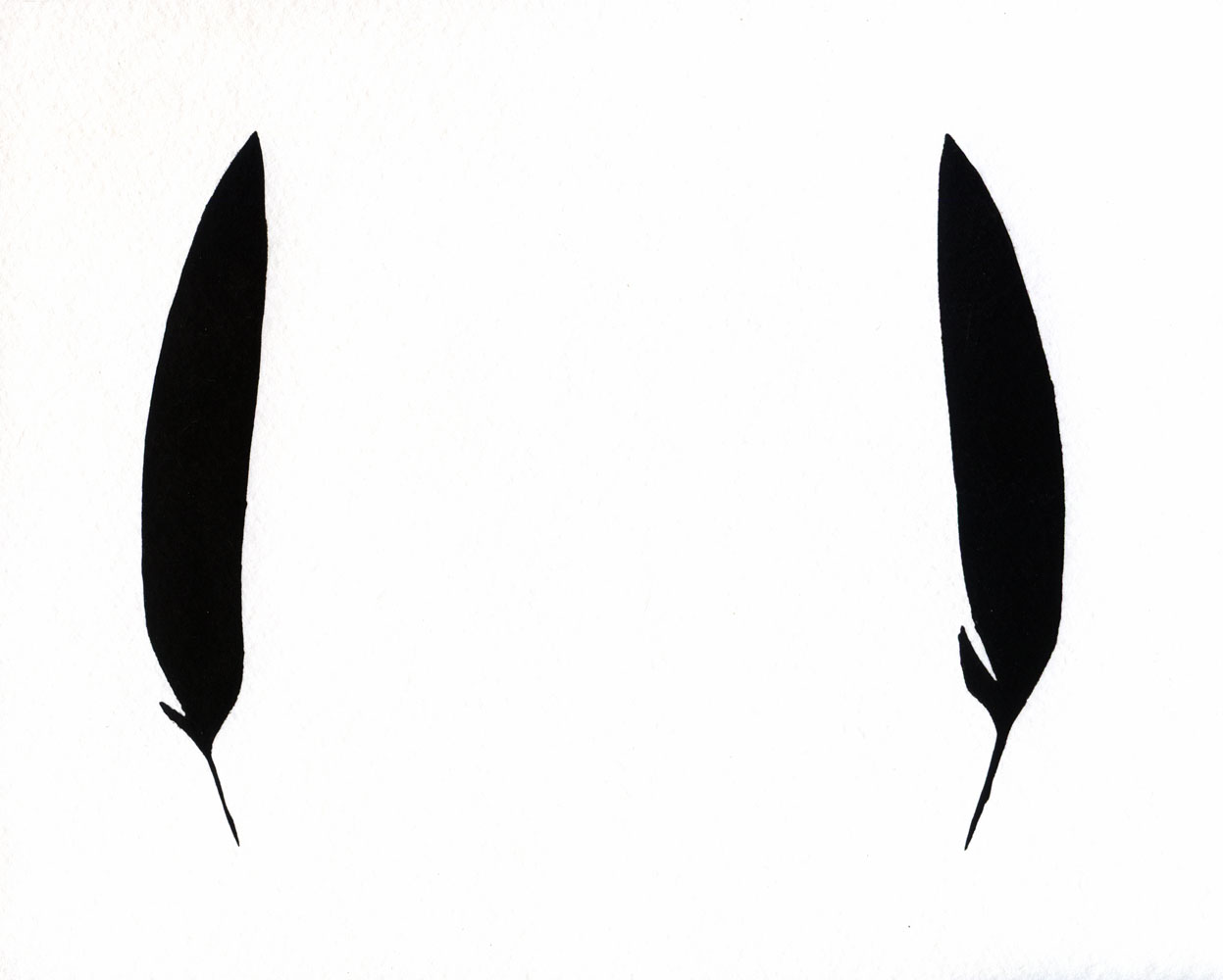 1247x1000 Raven Feathers