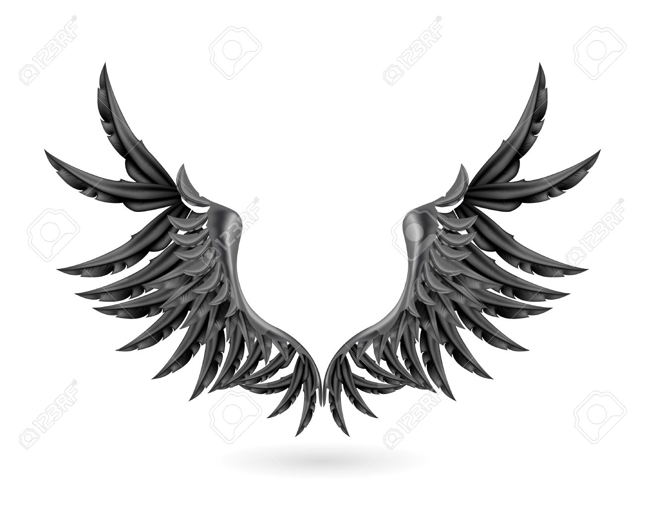 1300x1040 Raven Feather Clipart, Explore Pictures