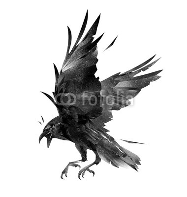 380x400 Drawing Flying Bird Crow On A White Background Buy Photos Ap