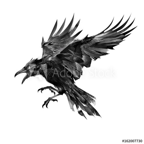 500x500 Drawn Flying Bird On White Background Side View
