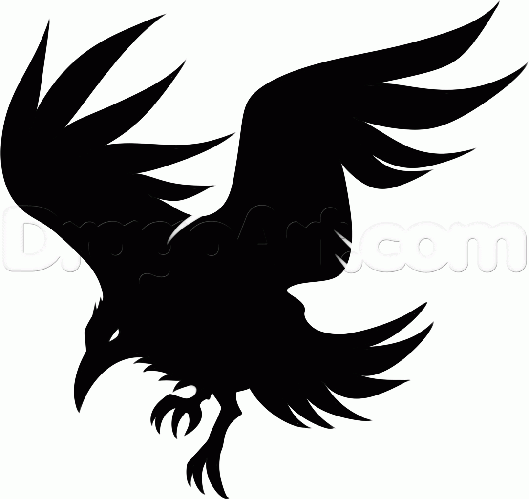Raven Flying Drawing