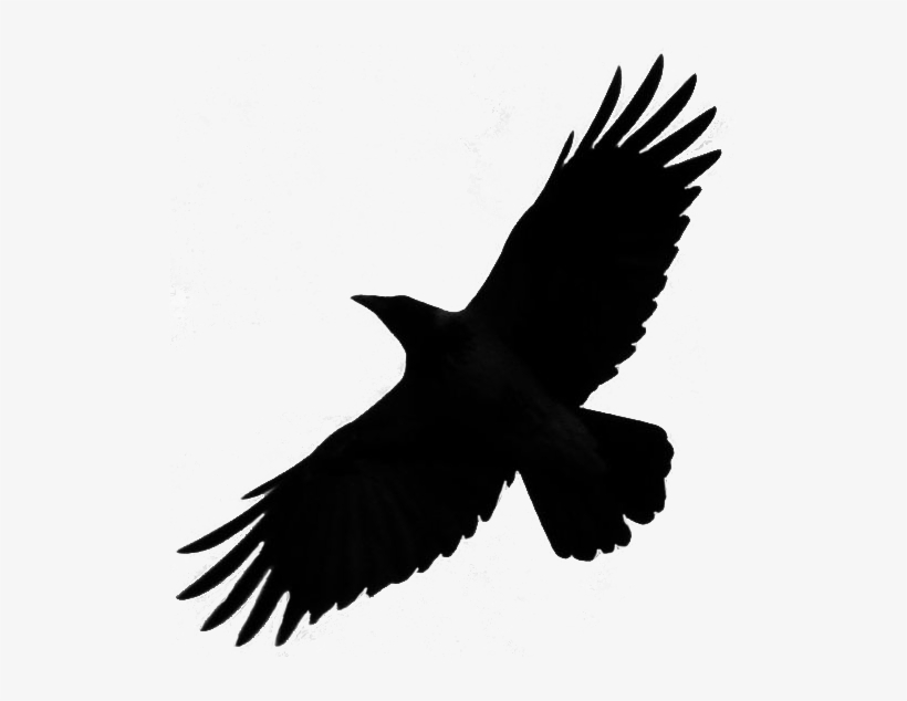820x634 Crow Raven Bird Silhouette Fly Png