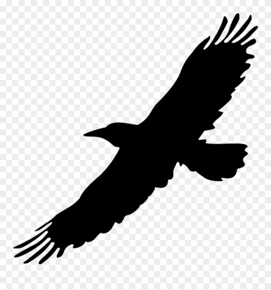 Raven Flying Drawing | Free download on ClipArtMag