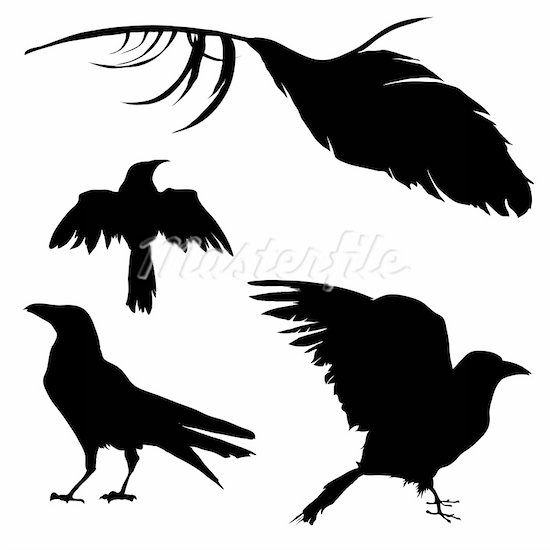550x550 Raven Bird Template Crow Flying Silhouette Fabrics