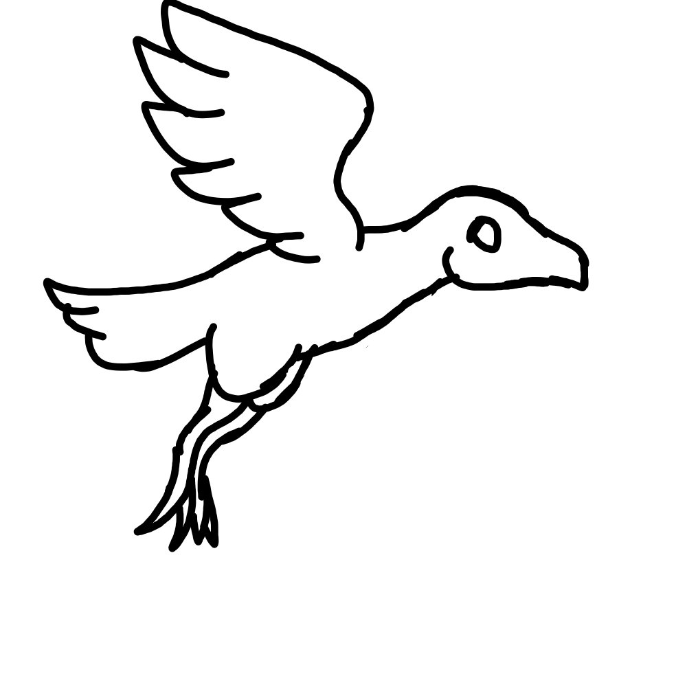 1000x1000 Raven Flying Gif