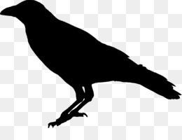 260x200 Raven Png