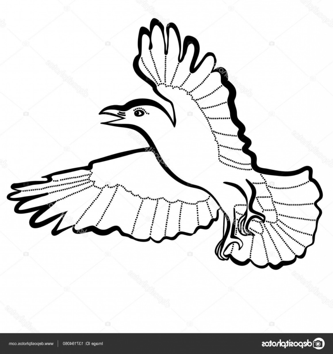 1158x1228 Stock Illustration Vector Illustration Of Flying Raven Lazttweet