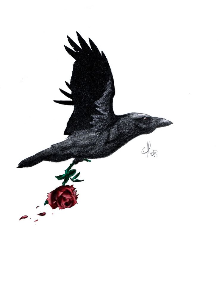 736x957 Raven Drawing Heart For Free Download