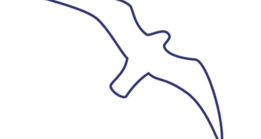 900x480 Draw A Bird Easy Drawn Bird Flight Drawing Draw Robin Bird Easy